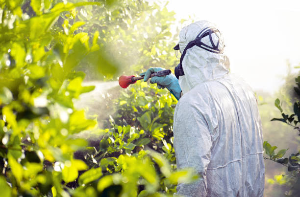 Tree disease and insect management